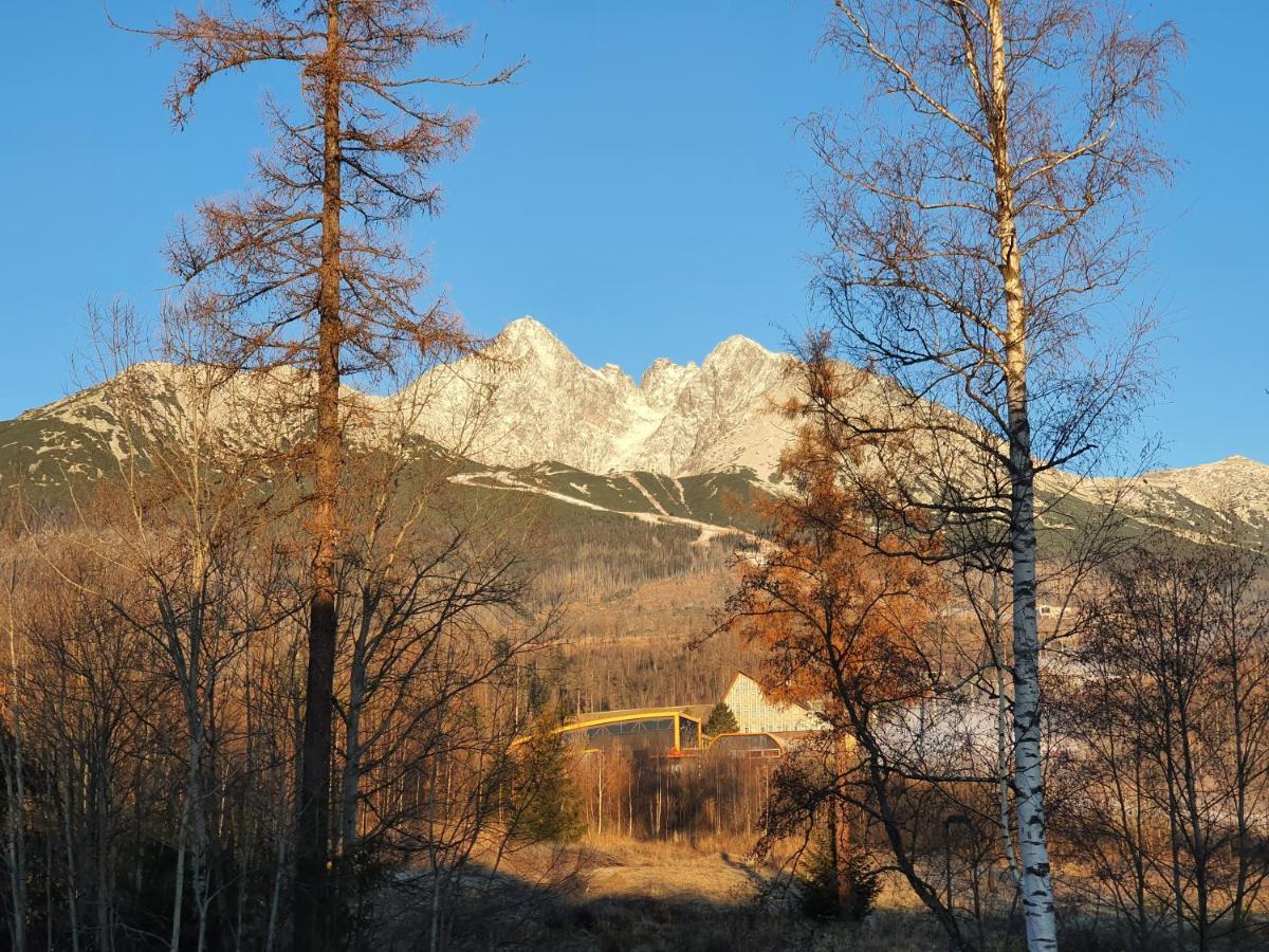 Apartman Kukucka Mountain View Tatranská Lomnica Dış mekan fotoğraf