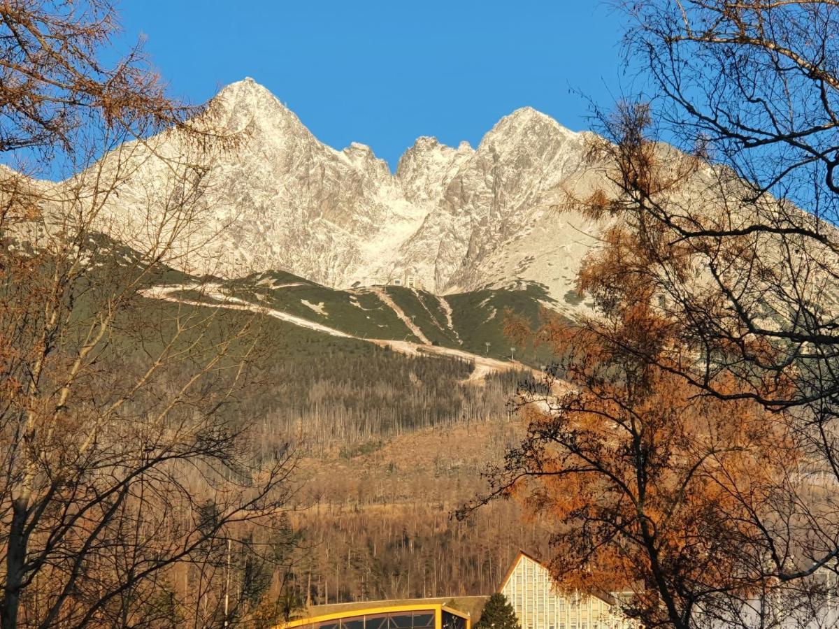 Apartman Kukucka Mountain View Tatranská Lomnica Dış mekan fotoğraf